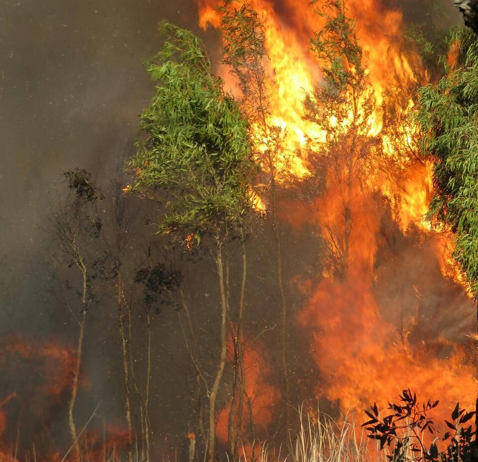 detección de incendios 3
